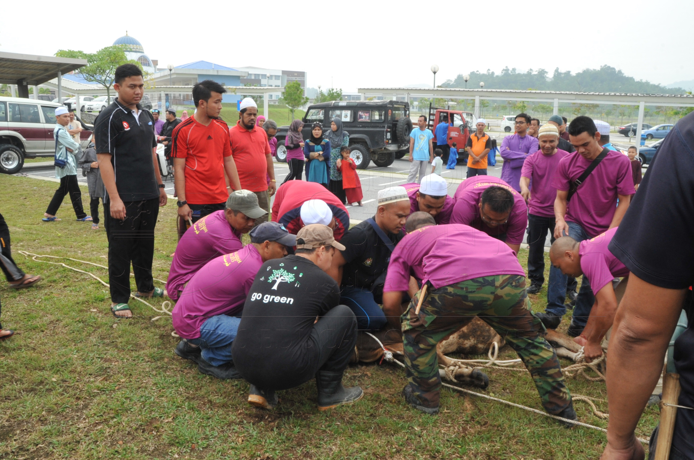 PRO15 150 KORBAN HAS 6732